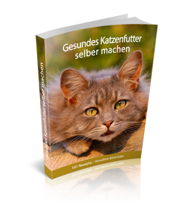 Katzen Rezepte selber kochen